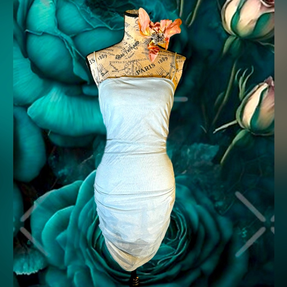 Windsor Baby blue Ruched Midi Bodycon Dress